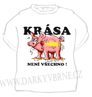 Tričko Krása není všechno! - výprodej, velikost XL