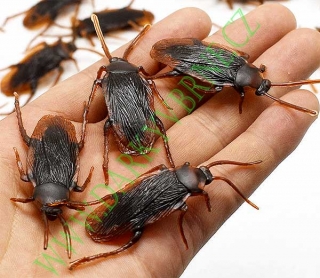 Šváb gumový 6,5 cm