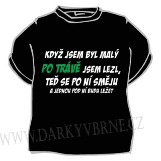 Tričko Když jsem byl malý po trávě jsem lezl, teď se po ni směju a jednou ...